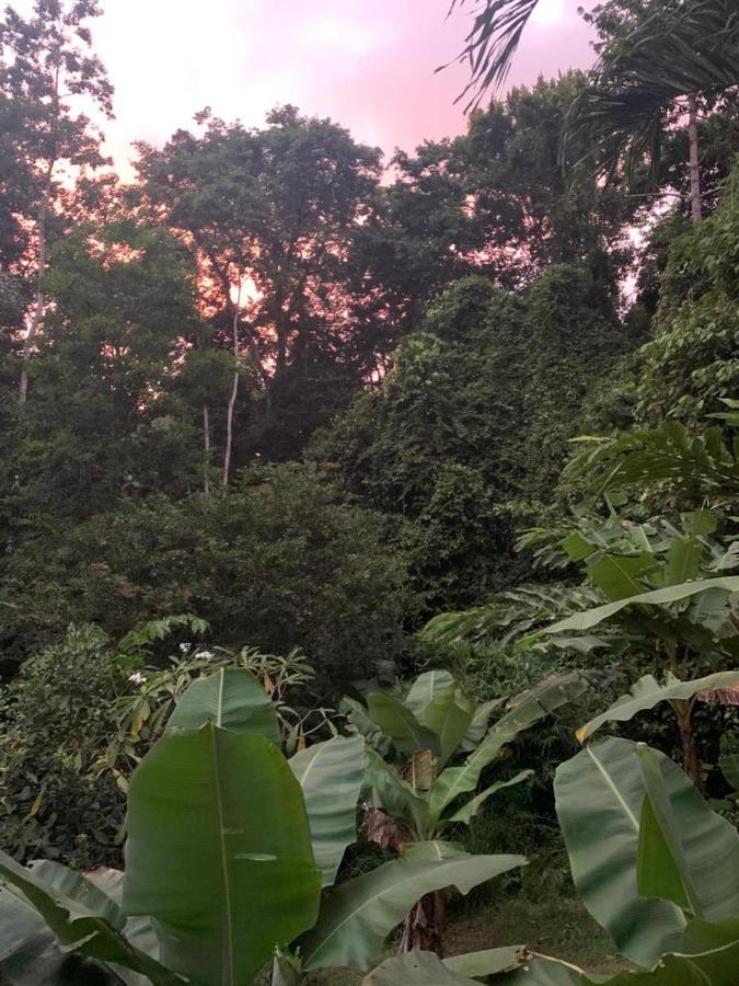 Pequeno Paraiso 1 * Punta Uva
