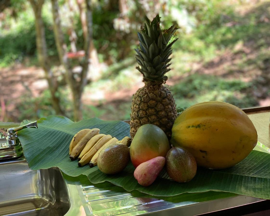 Pequeno Paraiso 1